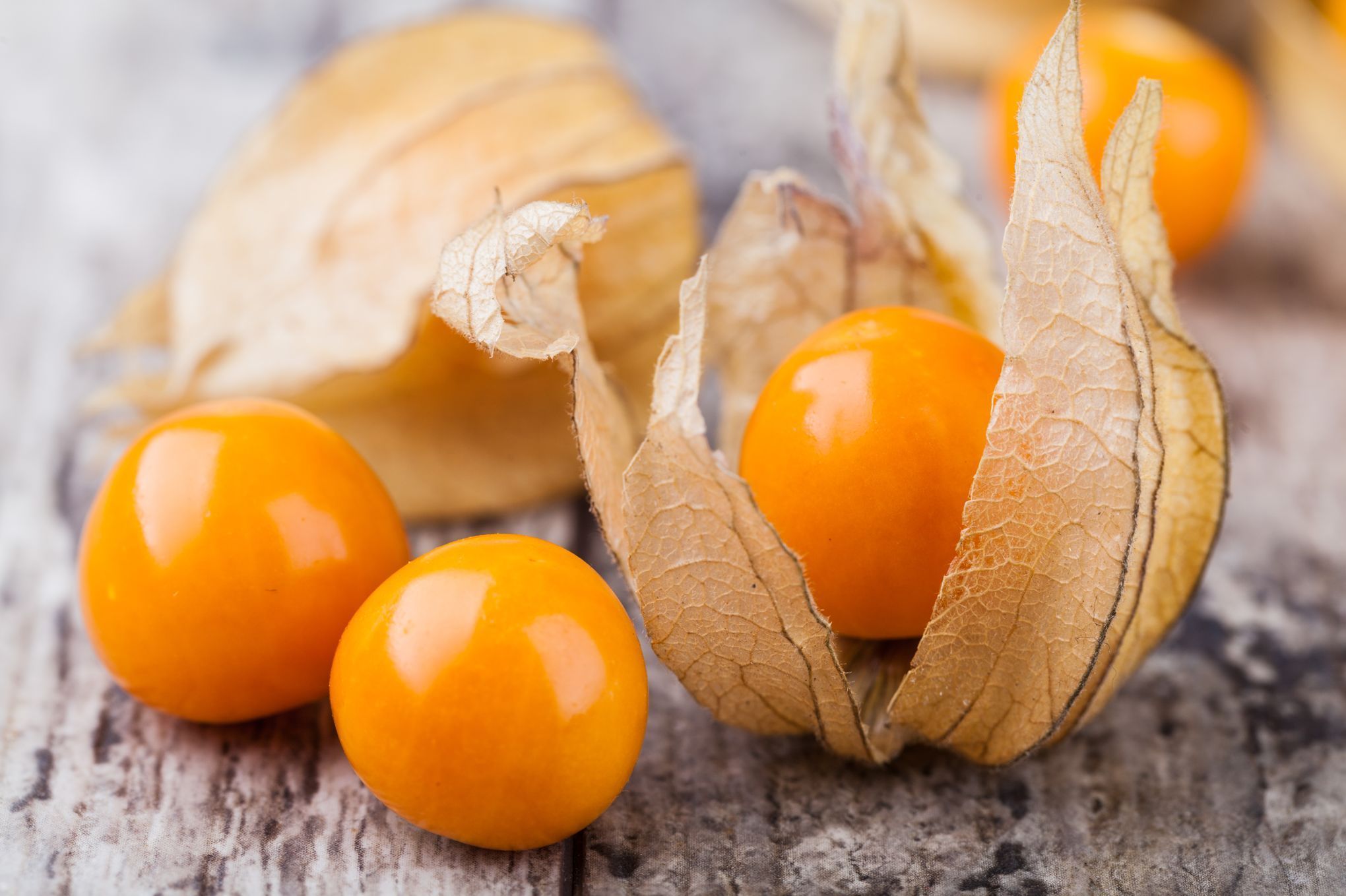 Frutas para comer sem moderação para perder peso Quotes   