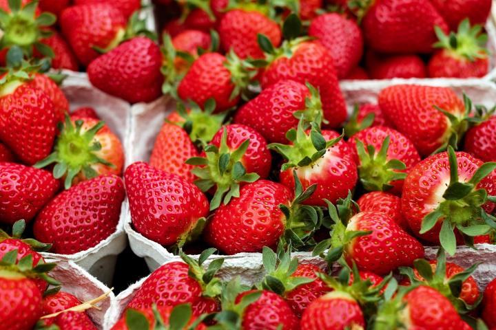 Frutas para comer sem moderação para perder peso Quotes   