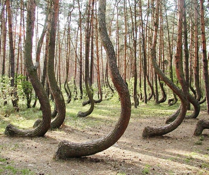 18 fotos que parecem ser alteradas mas são verdadeiras! Quotes