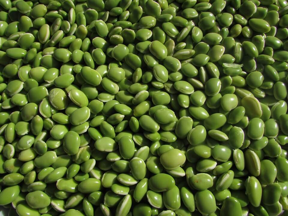 20 alimentos feitos na China que vão te deixar muito doente Quotes