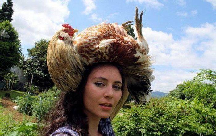 Essas situações improváveis que só podem ser vistas na Rússia! Francamente é hilário! Quotes   