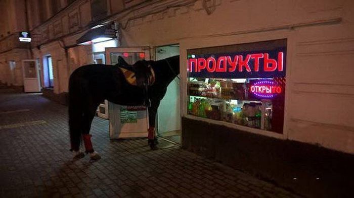 Essas situações improváveis que só podem ser vistas na Rússia! Francamente é hilário! Quotes