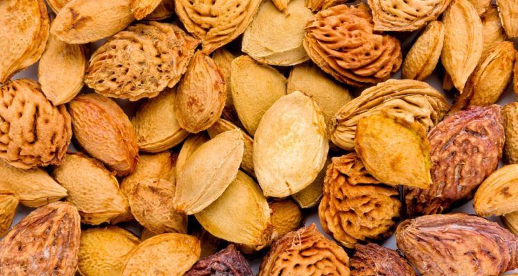 Os 23 alimentos mais perigosos do mundo! A evitar absolutamente ! Quotes