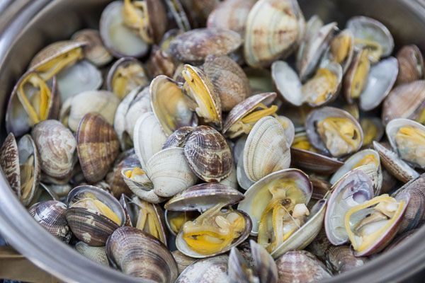 Os 23 alimentos mais perigosos do mundo! A evitar absolutamente ! Quotes   