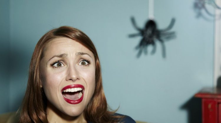 11 formas simples de matar aranhas, esses bichinhos que detestamos Quotes   